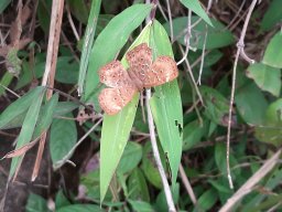 IMG-20190316-WA0001-1
