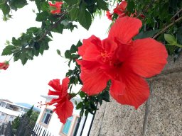 IMG-20190316-WA0002