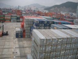 Shenzhen Yim Tin visit