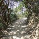 Hong Kong Trail at Dragon Back
